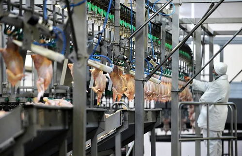 萬華助力泰森食品 以專業設計，筑就世界級肉類加工新標桿